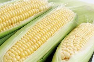 kaip papildyti kukurūzų kukurūzus