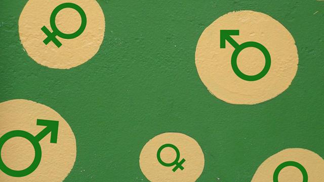 Kas yra bi orientacija: seksualinės orientacijos tipai